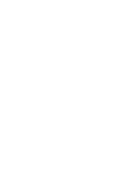 Flower New_SVG