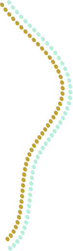 Wave-6